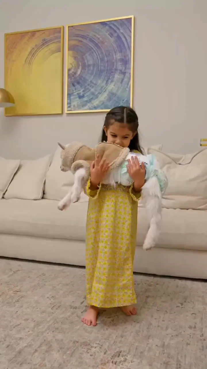 Kabrita