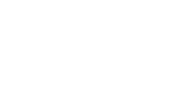 Styli